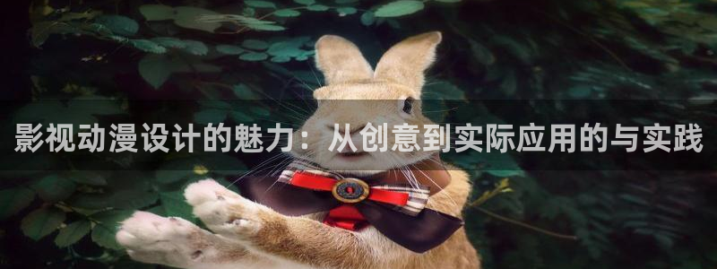 白云视频最新
