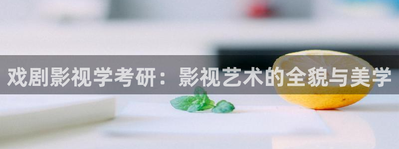 白云视频破解版