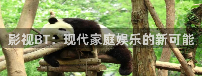白云短视频