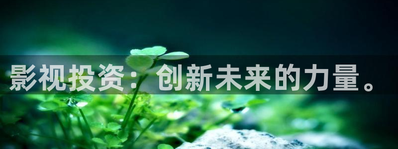 白云视频追剧