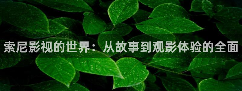 天空白云视频：索尼影视的世界：从故事到观影体验的全面