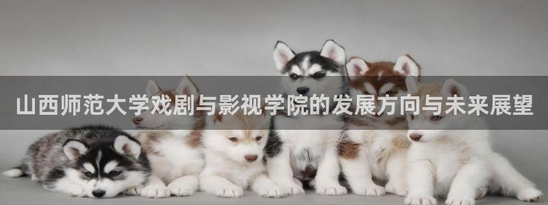 白云tv白云mv在线观看：山西师范大学戏剧与影视学院的发展方向与未来展望