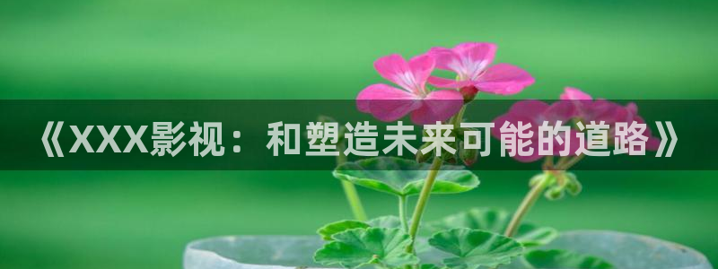 白云视频改名成什么了：《XXX影视：和塑造未来可能的道路》