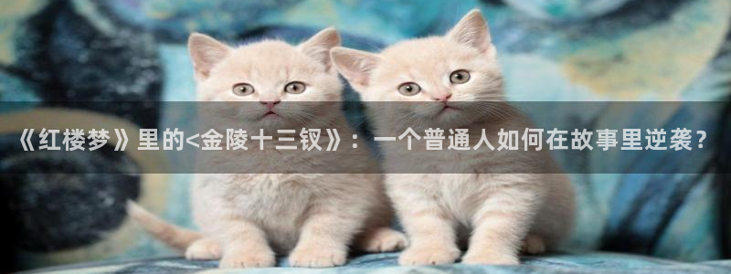 白云视频无广告：《红楼梦》里的<金陵十三钗》：一个普通人如何在故事里逆袭？