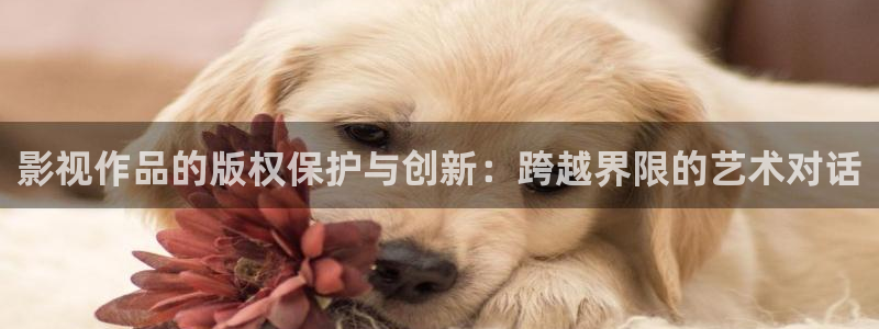 白云视频app下载安卓版