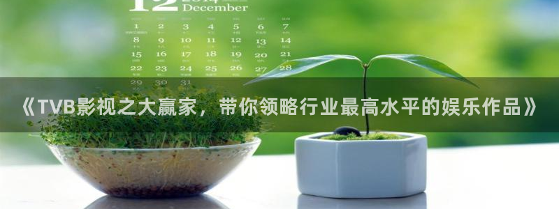 白云视频下载链接：《TVB影视之大赢家，带你领略行业最高水平的娱乐作品》