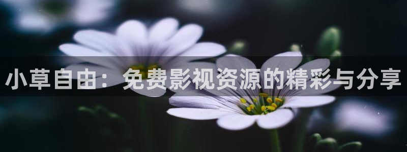 白云短视频