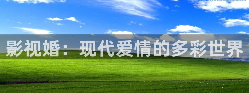 白云视频追剧